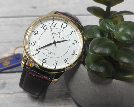 Zegarek Perfect C426F-08 męski klasyczny czytelny